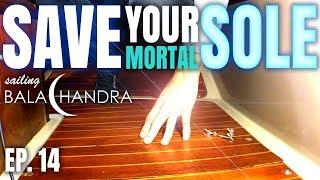 Save Your Mortal Sole! | Sailing Balachandra E014