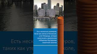Экологическая среда – загрязнение сточными водами