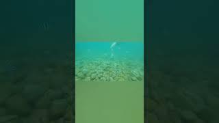 Island Hopping in Nha Trang, Vietnam | Ultimate Tropical Adventure 2025