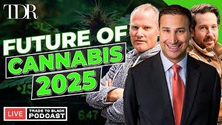 Cannabis 2025: Industry's Future Debated | Trade to Black