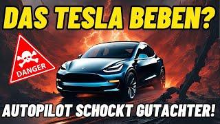 Das große Tesla Beben? Autopilot schockt Gutachter!