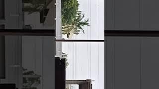 zoom ing realmi 8  64mpcamera