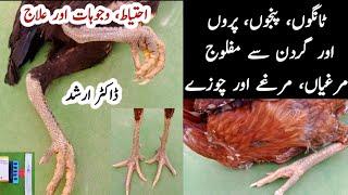 Paralysis in Birds | Dr ARSHAD