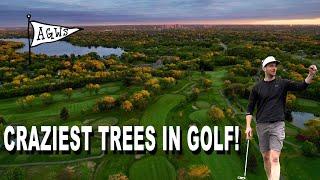 The CRAZIEST trees in Golf - Keller Golf Course (Maplewood, MN)