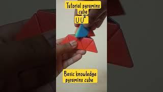 tutorial pyraminx U U inverse basic knowledge #cube #rubikcubesolution #viral #tricks #pyraminxcube