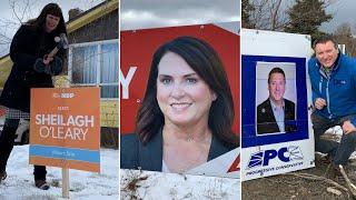 Made you look: the art of the campaign sign