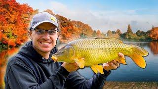 Catch MORE Carp In Autumn (with this AWESOME tactic!)