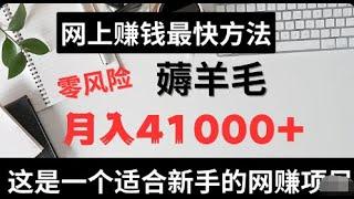 2024网上赚钱最快方法！这是一个零风险薅羊毛赚钱项目，新手也可以月入41000+！这是一个适合新手的零风险网赚项目！