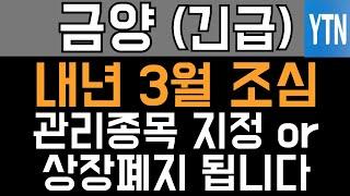 금양 주가전망 - 긴급) 내년 3월 조심! 관리종목 지정 혹은 상장폐지 됩니다!