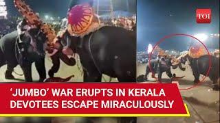 On Cam: Elephants Go Head-To-Head At Kerala Temple Festival, Locals Injured | Watch