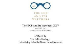 The ECB and Its Watchers XXV - Debate 3: The Economic Environment Faced by the ECB’s Monetary Policy