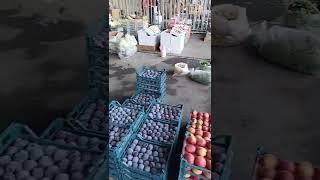 میدان میوه و تره بار  کرج