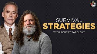 Of Baboons and Men | Robert Sapolsky | EP 390