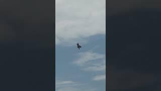 F-35 demo team McConnell airshow 2024#airshow #f35 #airforce #viralvideo #shorts