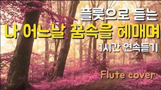 나 어느 날 꿈 속을 헤매며 In fancy I stood by the shore, one day 한시간 연속듣기, 새찬송가 134장, 은혜로운 찬송, 플룻찬양 ,묵상기도음악