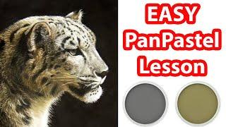 EASY PanPastel Lesson  - How to use Pan Pastels for Wildlife Art Beginners