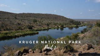 Self Drive Safari Kruger National Park | Part 1