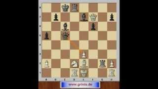 Eröffnungskatastrophen 17. Sizilianische Verteidigung. Sizilianisches Gambit. Eugen Grinis. Schach