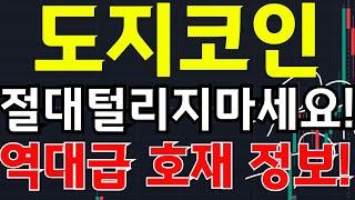 [ 도지코인 ] 절대 털리지 마세요!역대급 호재 정보 공개!