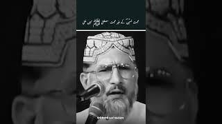 Love for the Prophet Muhammad (ﷺ) cannot be attained without love for Hussain(As) Dr Tahir ul Qadir