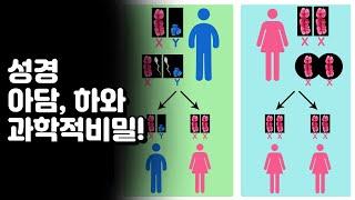 과학으로 본 성경 아담과하와(이브) 이야기