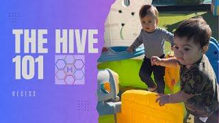 The Hive 101 - Recess