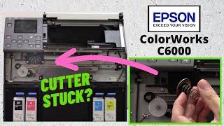 Epson Colorworks C6000 tutorial How to CLEAN the Cutter Blade