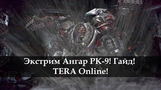 Экстрим. Ангар совершенного RK-9 Гайд. TERA Online!