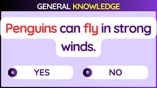 General Knowledge Quiz | Can you Score 20/20?  #YES/NO 2
