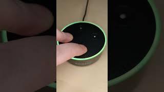 How to Factory Reset Echo Dot Gen 2