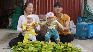 Harvest star fruit to sell at market - take care of newborn baby, cook nutritious food