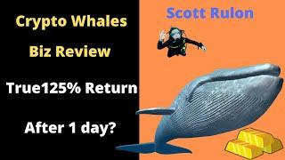 Crypto Whales Review - Legit 125% Daily ROI Biz or Fraud?