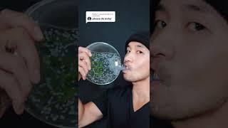 More Frog Eggs #asmr #sleep