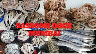 OLDEST FISH MARKET IN MUMBAI | SASSOON DOCK