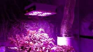 GrowAce.com - REVIEW 180w LED Advance Spectrum MAX Modular Grow Light Product Overview