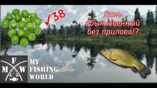 38) My Fishing World Линь обыкновенный без прилова!?