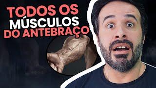 COM ESSE MÉTODO VOCÊ IRÁ APRENDER TODOS OS MÚSCULOS DO ANTEBRAÇO.