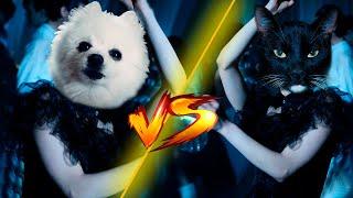 Merlina - Bloody Mary (Cover Animales)
