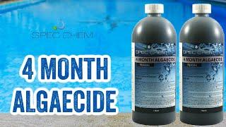 4 Month Algaecide by Spec Chem