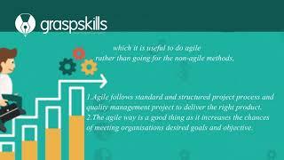 THE STRATEGIES FOR DOING AGILE IN A NON-AGILE ENVIRONMENT