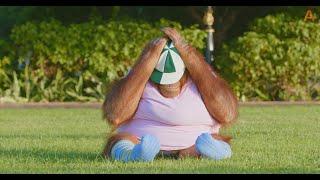 Animalia - The Orangutans sport their school caps