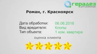 #4 Отзыв Романа об услуге по уничтожению клопов [Герадез-отзывы]
