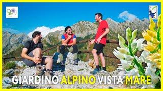 L'ORTO BOTANICO più ENDEMICO d'ITALIA - un GIARDINO ALPINO vista MARE