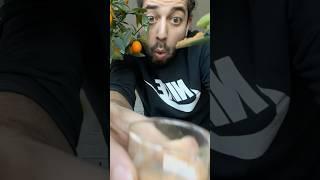 Cinnamon + Plants = Magic! creative explained
