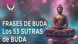 Buda - Frases de Buda - Que es el budismo - Los 53 sutras de Buda