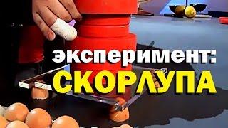 Галилео. Эксперимент. Скорлупа