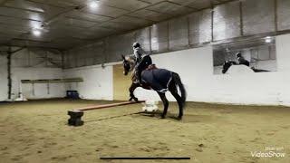 Cours d’équitation du 26 novembre 2020