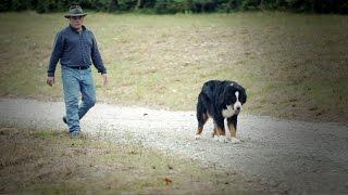 Colonel Jim Harper's Story - Testimonies of Christians