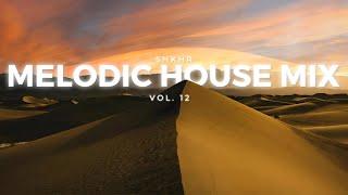 Melodic House Mix 2024 - Vol 12 : Desert Chill Afro House | CamelPhat, Diplo, HUGEL, Sunnery James