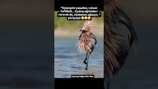 #uyanış #spiritual #spiritualawakening #hayat #psikoloji #life
